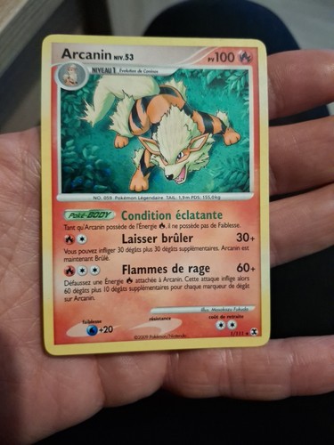 Pokémon platine rivaux - pokémon,