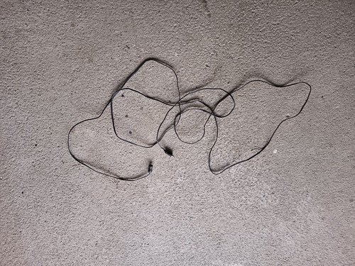 Cable alimentation enceinte