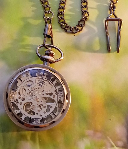 Montre squelette steampunk - squelette, à