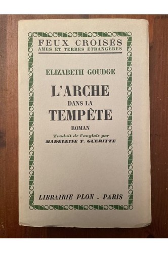 Arche dans tempête - l'arche, la