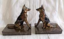 Serre livre chien en régule -