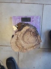 Bois d'olivier Provence N°X1