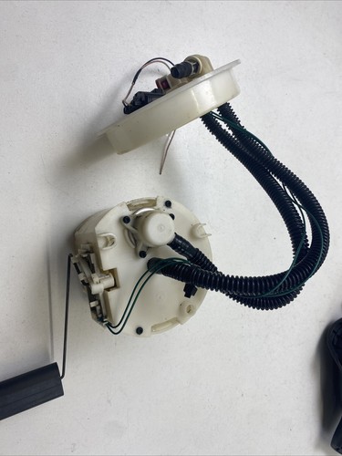 1s7uad gavage pour - gavage,