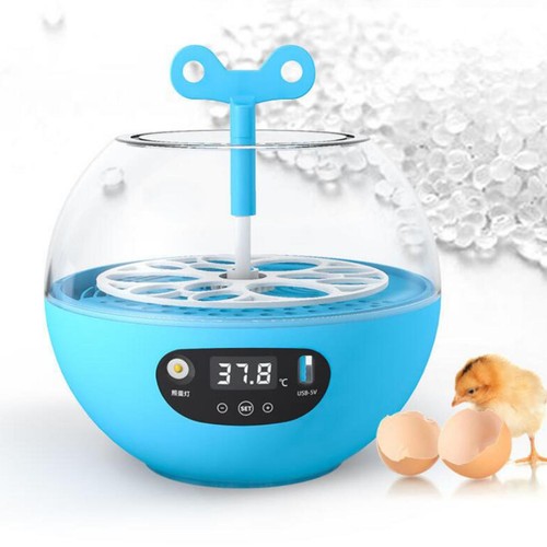 Mini oeufs couveuse de - ,