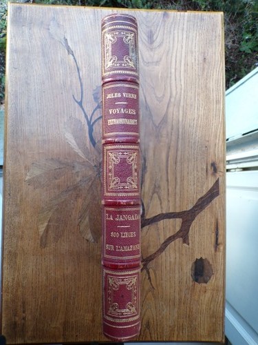 8991 verne jangada - 8991,
