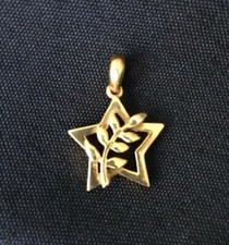 Pendentif Acacia doré posé sur son Etoile