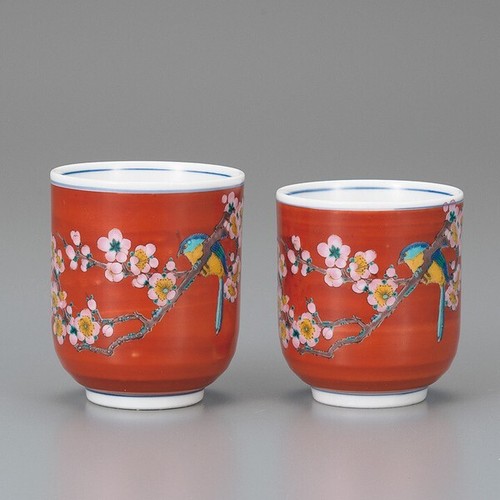 Paire yunomi kutani yaki - paire,