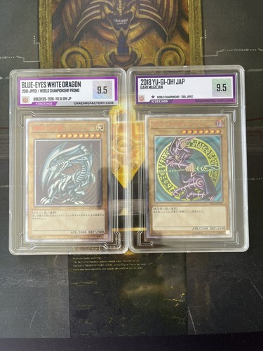 Blue eyes white - dragon, and