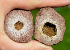 Géode Grès & Quartz 86