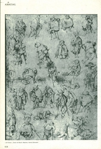 Document planche ancienne
