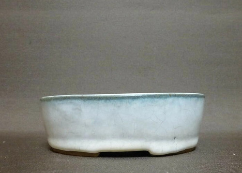Pot bonsaï japonais shiho - bonsaï,