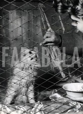 Photo de presse vintage