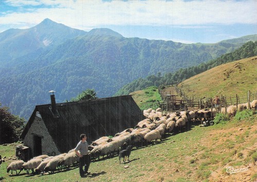 Iraty vieux cayolar et - 64,