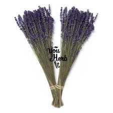 Lavande Séchée Bouquets Naturelles Fleurs 1-12 Bouquets -Lavandula Officinalis