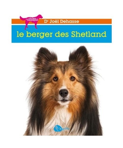 Berger des shetland - berger,