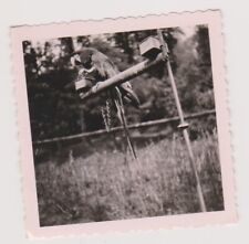 Photo ancienne ?️ Perroquet Ara captif perchoir chaîne zoo 1950-70 ?
