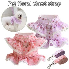 Harnais Et Laisse Pour Chien De Compagnie Mignon Fleurs En Dentelle Chiot /
