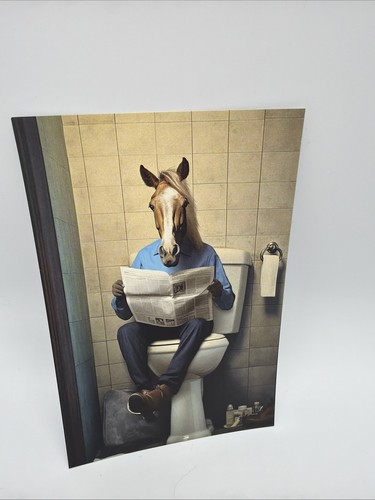 Affiche humoristique cheval - affiche,