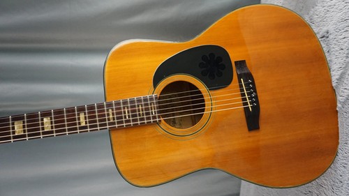 Tokai hummingbird 180f - 180f, folk