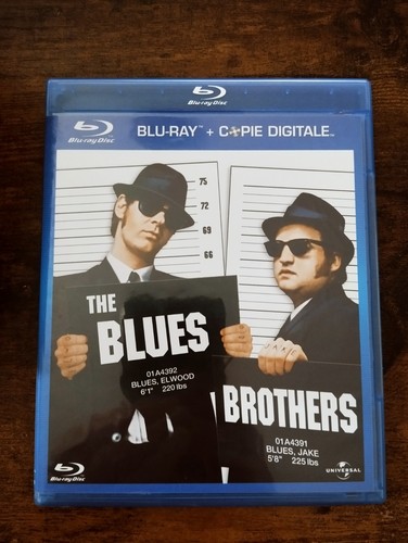 The blues brothers - brothers,