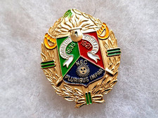Un insigne militaire " 1er REC
