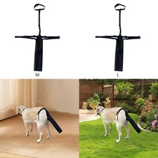 Manchon pour Queue de Chien