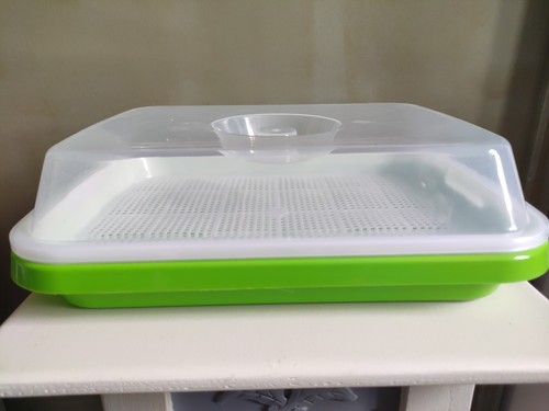 Plateau germination pour - de,