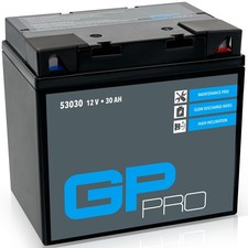 Batterie 12V 30Ah GEL GP-PRO