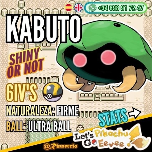 Kabuto competitif shiny or - competitif, «
