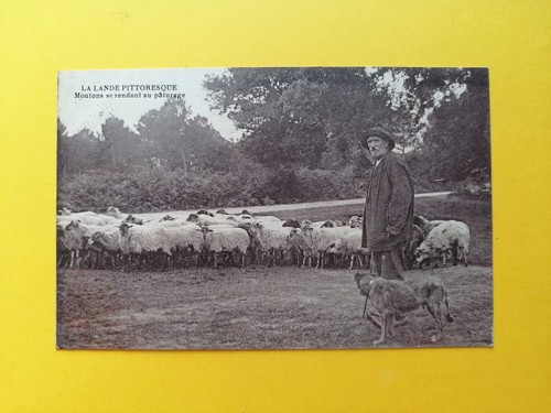 Vers 1910 lande - 1910, la