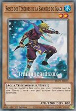 Yu-Gi-Oh! Rosée des Ténèbres de la Barrière de Glace : C HAC1-FR039