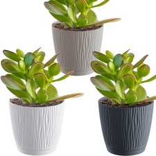Pot fleurs plante - de,