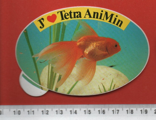 Tetra animin aquarium - tetra,