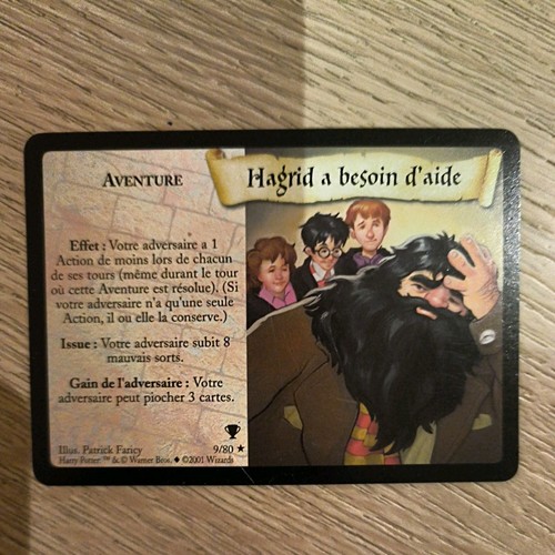 Carte harry potter tcg - potter,