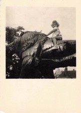 ANCIENNE PHOTOGRAPHIE 1950