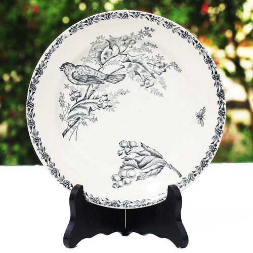 Assiette plate ancienne - , en
