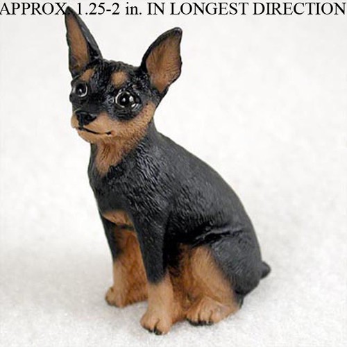 Miniature pinscher mini - miniature,