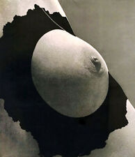 MARCEL DUCHAMP S'IL VOUS