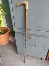canne ancienne Bois Épineux Art Corne ? Curiosité Antique Populaire Rare cabinet