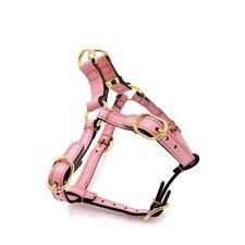 Harnais pour chien Gucci en