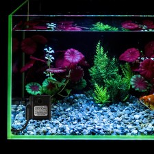  Pompe à eau silencieuse de remplacement de pompe de fontaine de chat pour