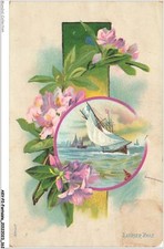 AKVP2-0179-FANTAISIE - LAURIER ROSE