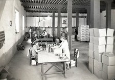 COGNAC c. 1950 - Caves