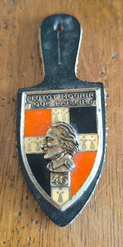 Insigne ri régiment - ri,
