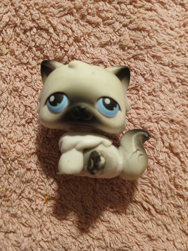 Petshop lps littlest big - petshop,