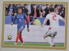 Vignette Carrefour Panini