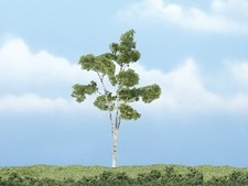 WOODLAND SCENICS Bouleau à