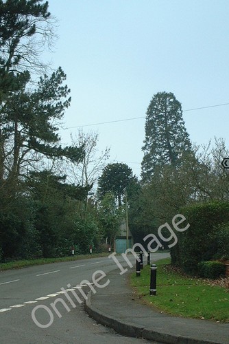 Photo 6x4 packhorse lane - 6x4,