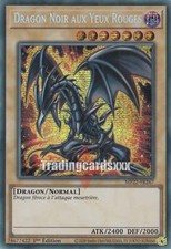 Yu-Gi-Oh! Dragon Noir aux Yeux