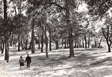 33-ARCACHON-MAISON DE REPOS SAINT DOMINIQUE-N�2828-B/0073